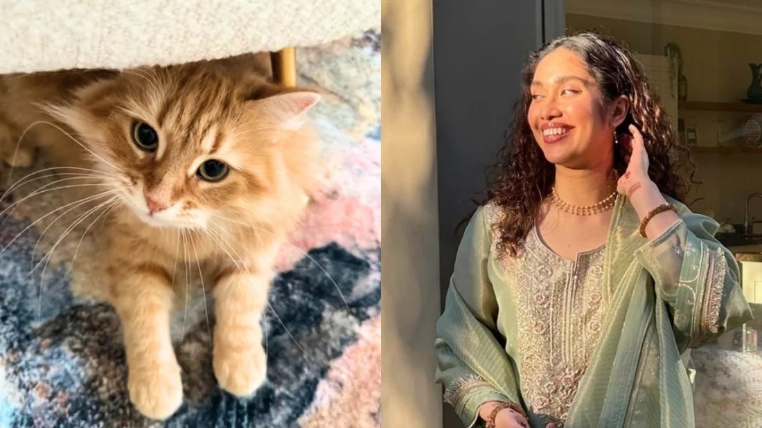 জেবুকে ঘিরে কৌতুহল-আলোচনা, মজা পাচ্ছেন জাইমা রহমান